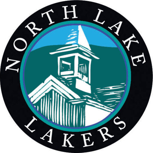 nls logo