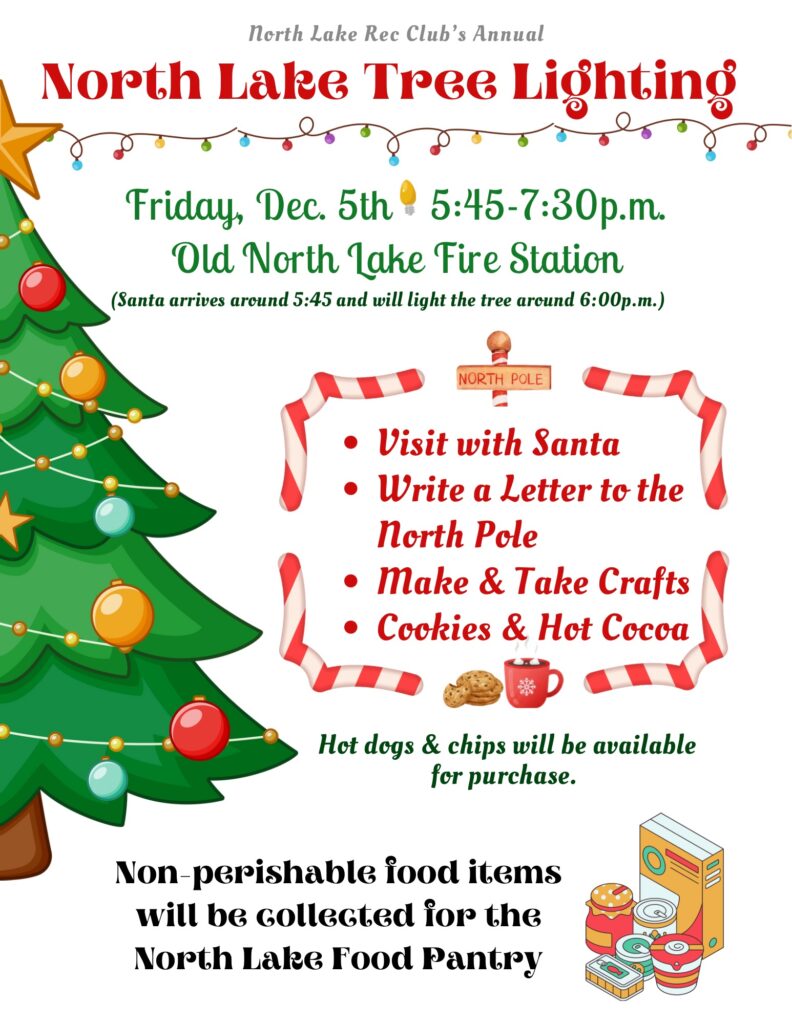 Christmas tree lighting